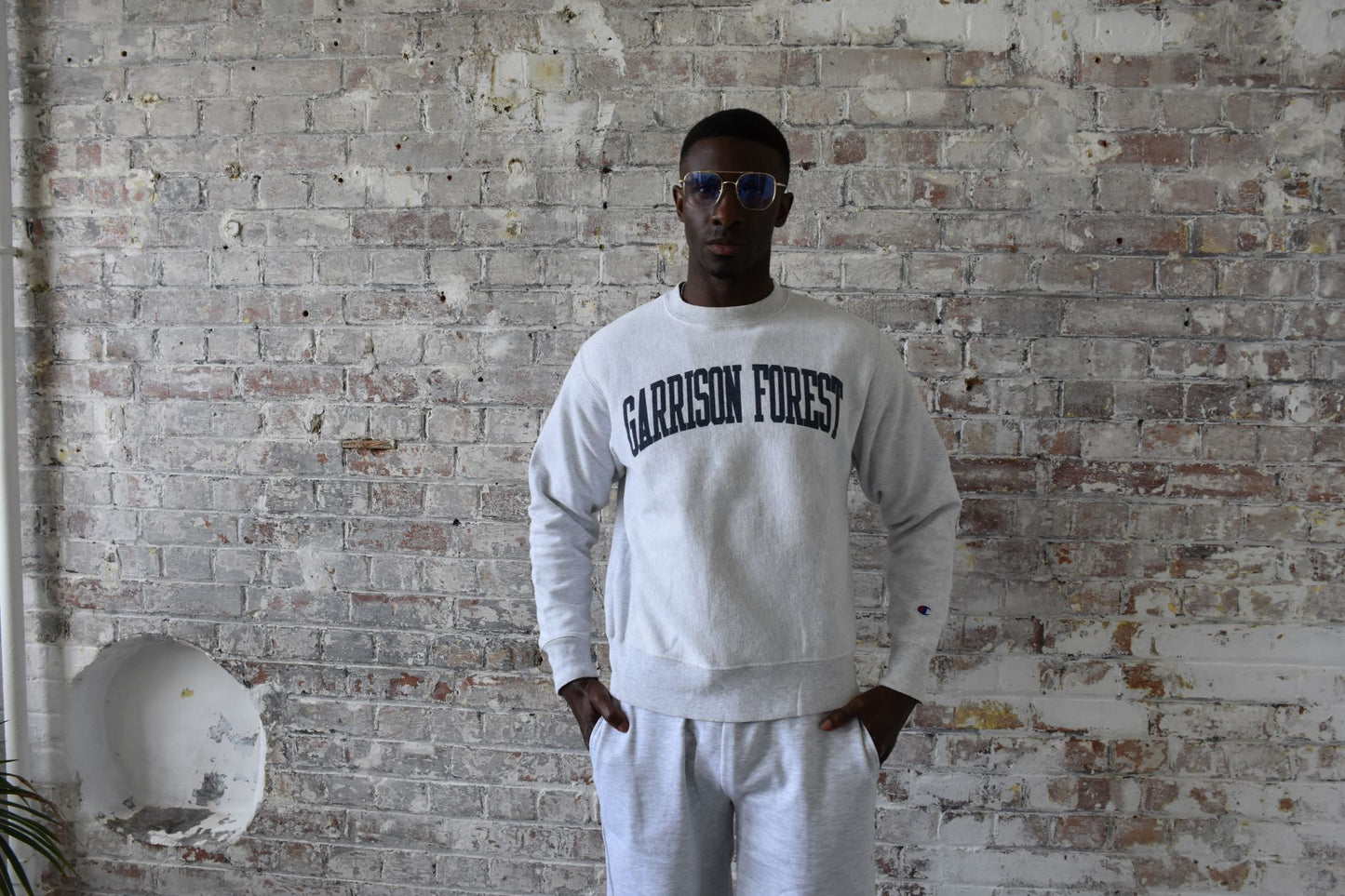 Vintage Champion Sweatshirt in Light Grey