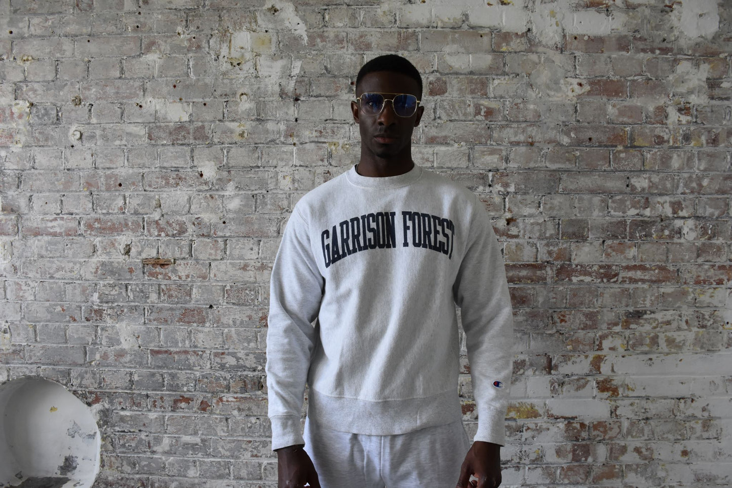 Vintage Champion Sweatshirt in Light Grey