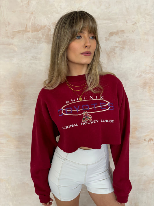 Vintage Cropped Sports Sweatshirt in Red